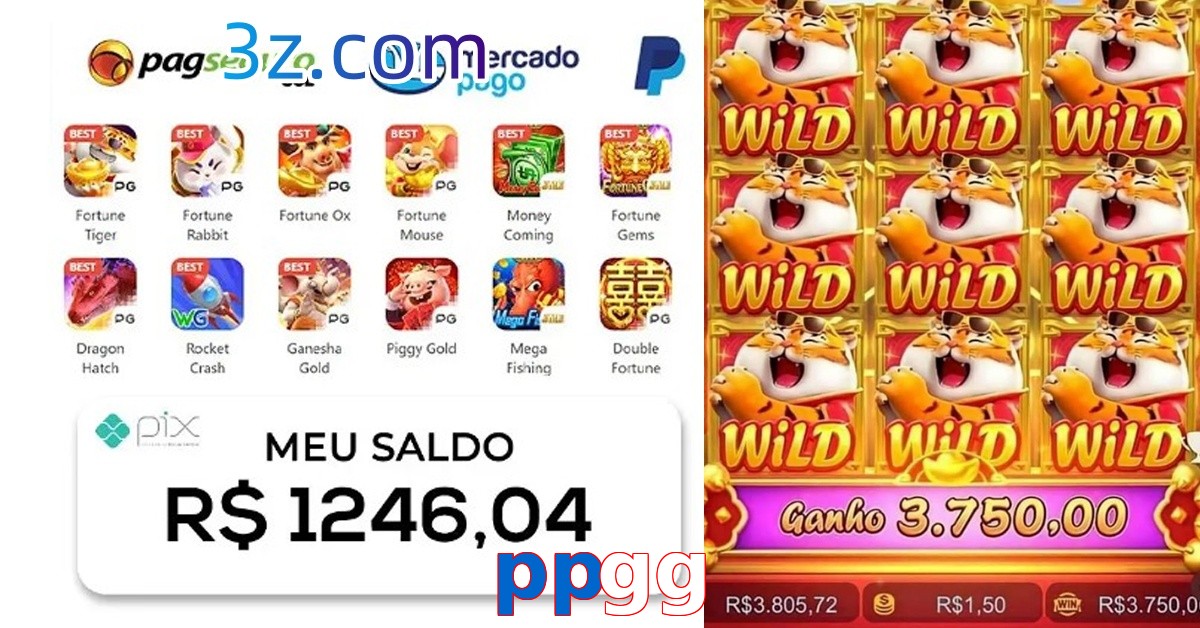 ppgg.com